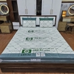 GỐI NẰM LIÊN ÂU LATEX – OVAN 40*60