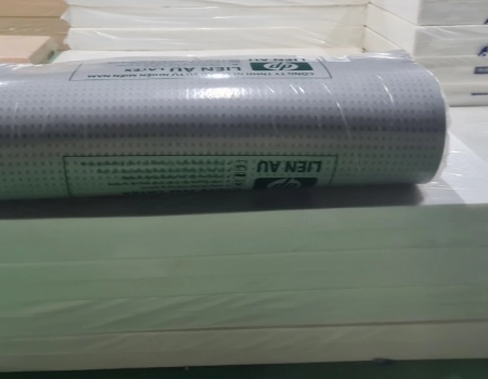 NỆM CAO SU THIÊN NHIÊN HOẠT TÍNH LATEX