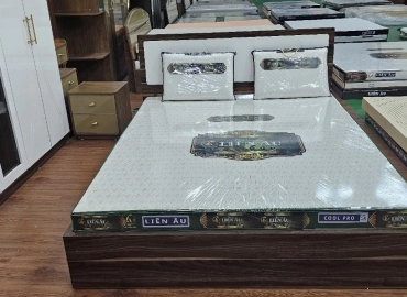 NỆM LIÊN ÂU COOL - PRO